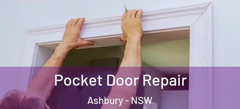 Pocket Door Repair Ashbury - NSW