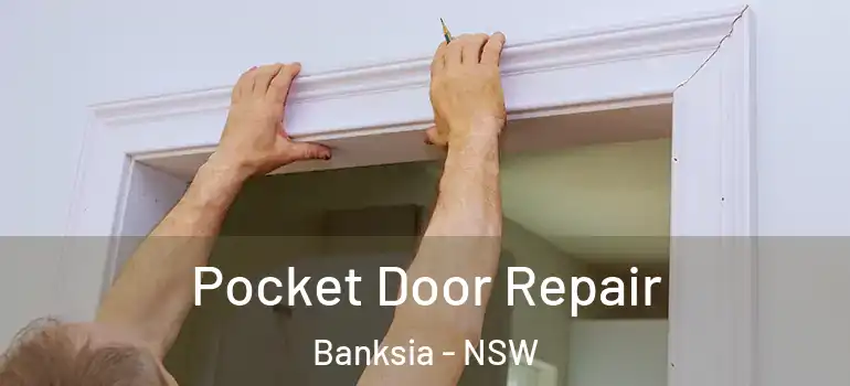 Pocket Door Repair Banksia - NSW