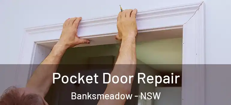 Pocket Door Repair Banksmeadow - NSW