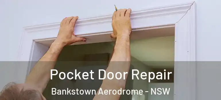 Pocket Door Repair Bankstown Aerodrome - NSW
