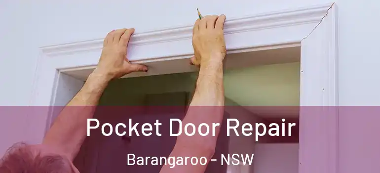 Pocket Door Repair Barangaroo - NSW