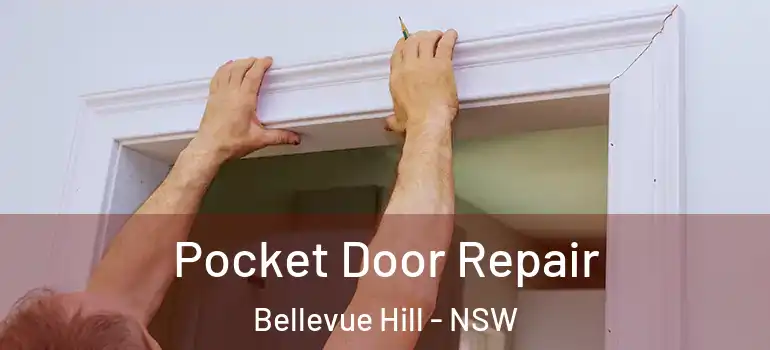 Pocket Door Repair Bellevue Hill - NSW