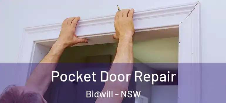 Pocket Door Repair Bidwill - NSW