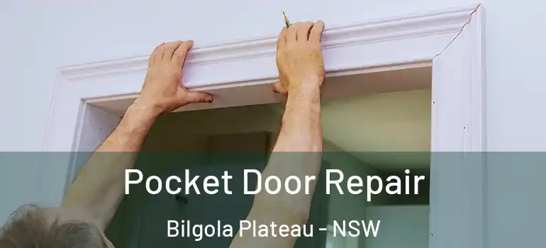 Pocket Door Repair Bilgola Plateau - NSW
