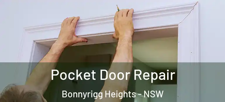 Pocket Door Repair Bonnyrigg Heights - NSW