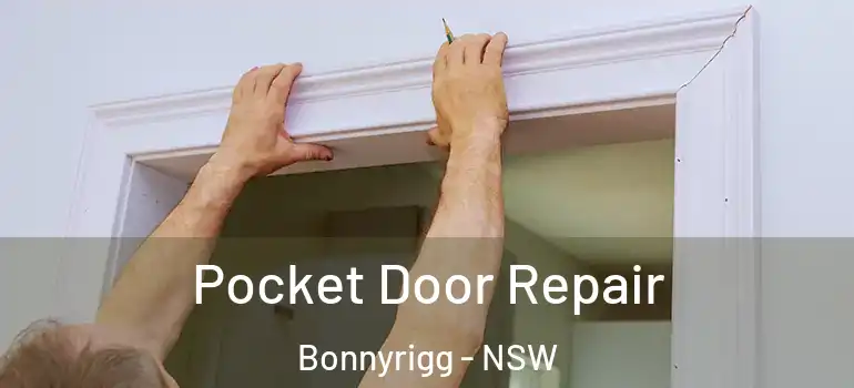 Pocket Door Repair Bonnyrigg - NSW