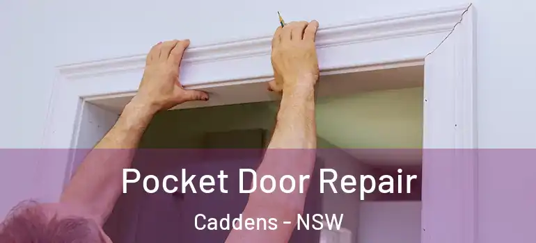  Pocket Door Repair Caddens - NSW