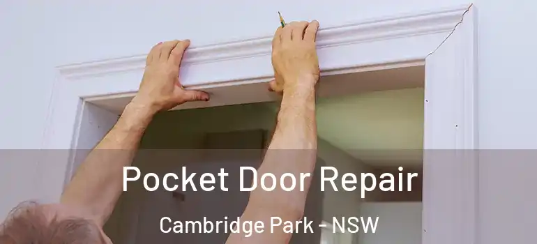 Pocket Door Repair Cambridge Park - NSW