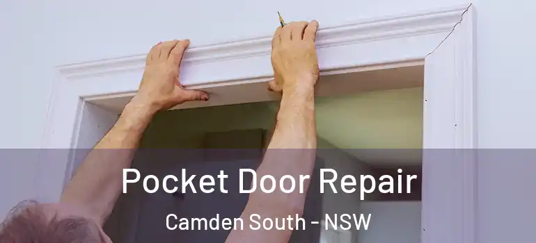 Pocket Door Repair Camden South - NSW
