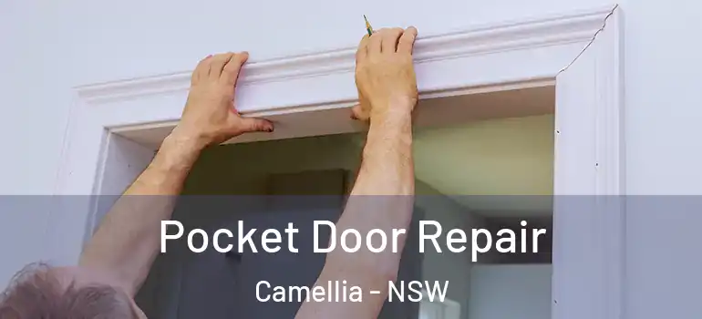  Pocket Door Repair Camellia - NSW
