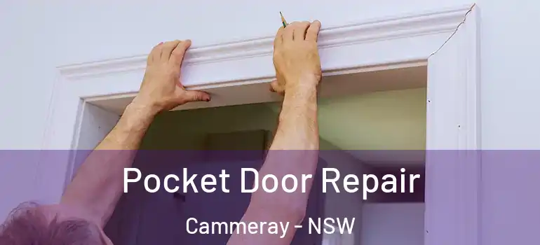 Pocket Door Repair Cammeray - NSW