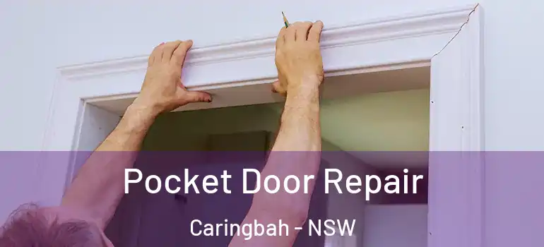Pocket Door Repair Caringbah - NSW