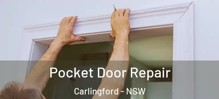 Pocket Door Repair Carlingford - NSW