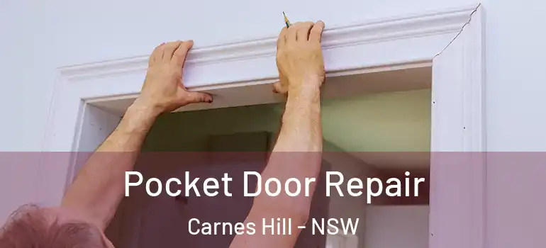 Pocket Door Repair Carnes Hill - NSW