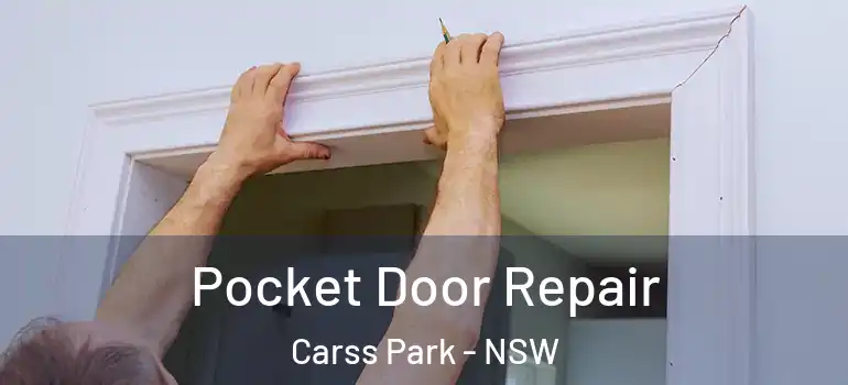 Pocket Door Repair Carss Park - NSW