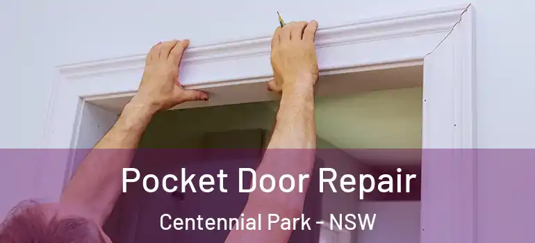 Pocket Door Repair Centennial Park - NSW