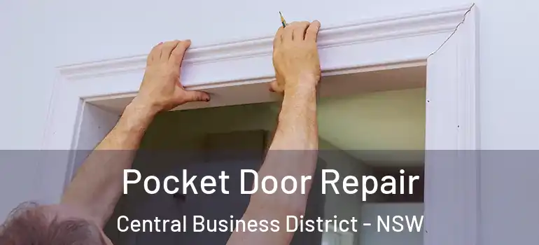 Pocket Door Repair Central Business District - NSW