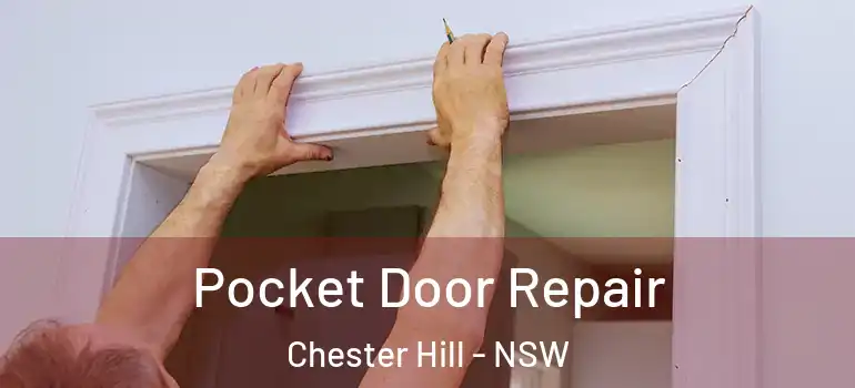 Pocket Door Repair Chester Hill - NSW