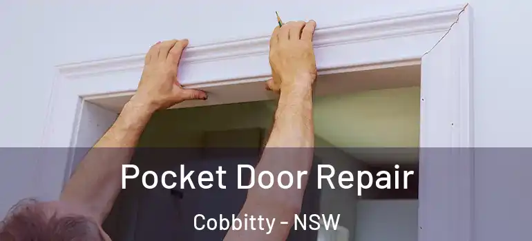  Pocket Door Repair Cobbitty - NSW