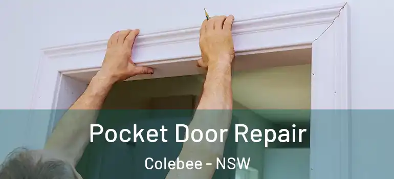 Pocket Door Repair Colebee - NSW