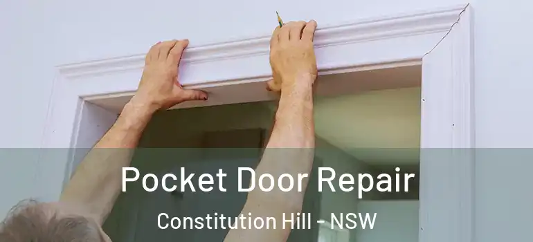 Pocket Door Repair Constitution Hill - NSW
