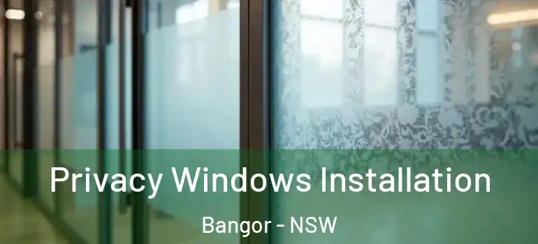 Privacy Windows Installation Bangor - NSW
