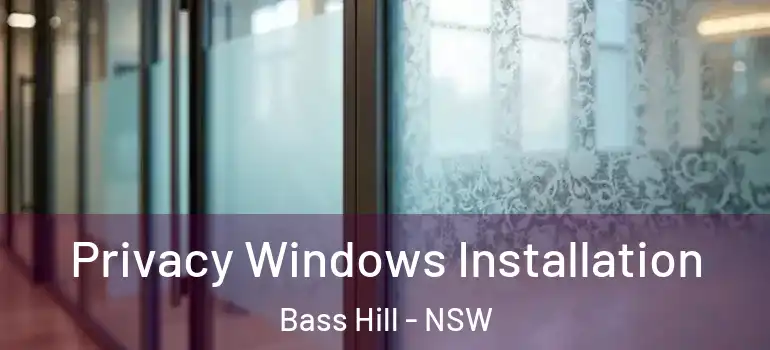 Privacy Windows Installation Bass Hill - NSW