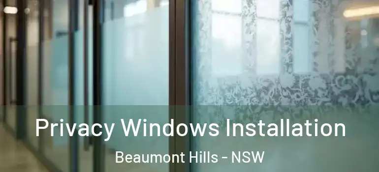  Privacy Windows Installation Beaumont Hills - NSW