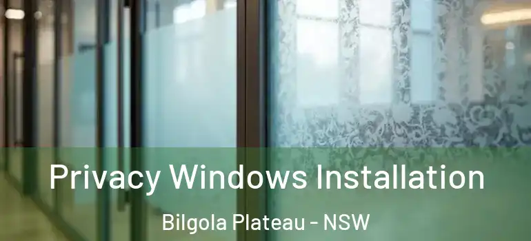 Privacy Windows Installation Bilgola Plateau - NSW