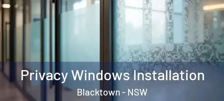 Privacy Windows Installation Blacktown - NSW