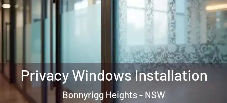 Privacy Windows Installation Bonnyrigg Heights - NSW