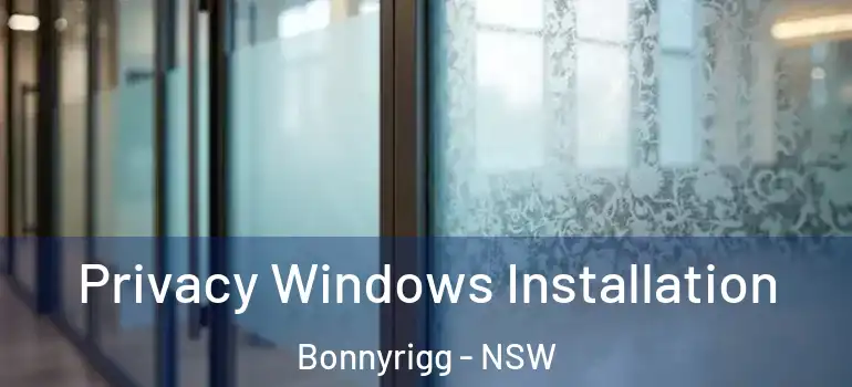 Privacy Windows Installation Bonnyrigg - NSW