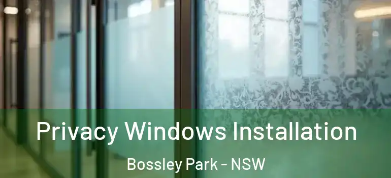 Privacy Windows Installation Bossley Park - NSW