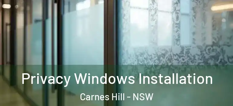 Privacy Windows Installation Carnes Hill - NSW