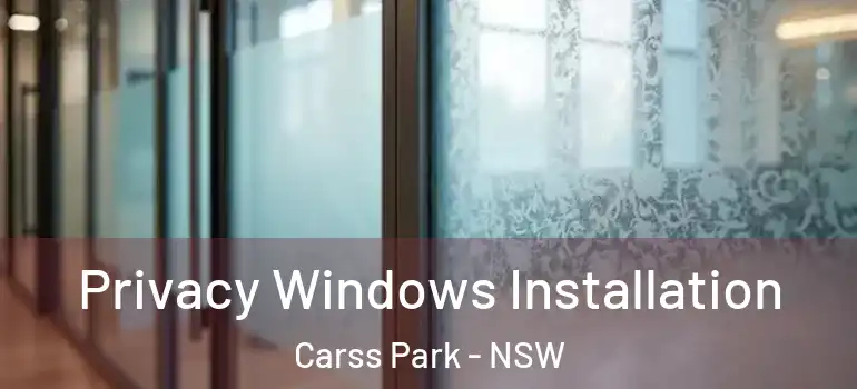 Privacy Windows Installation Carss Park - NSW