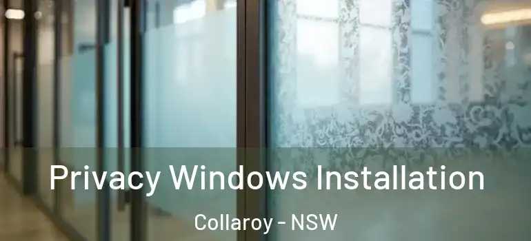 Privacy Windows Installation Collaroy - NSW