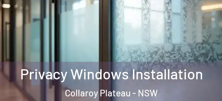 Privacy Windows Installation Collaroy Plateau - NSW