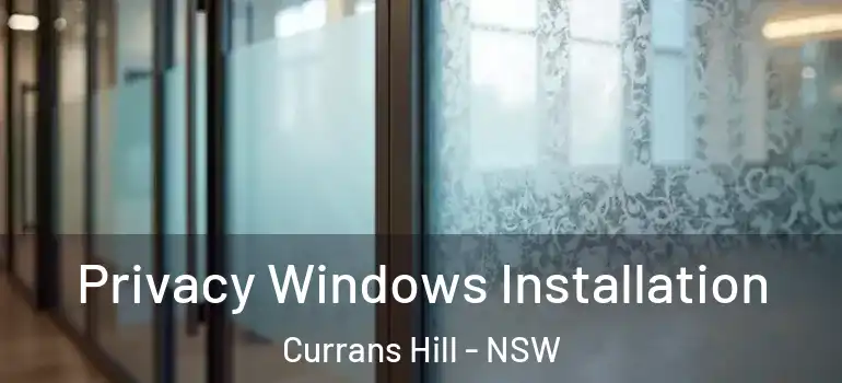 Privacy Windows Installation Currans Hill - NSW