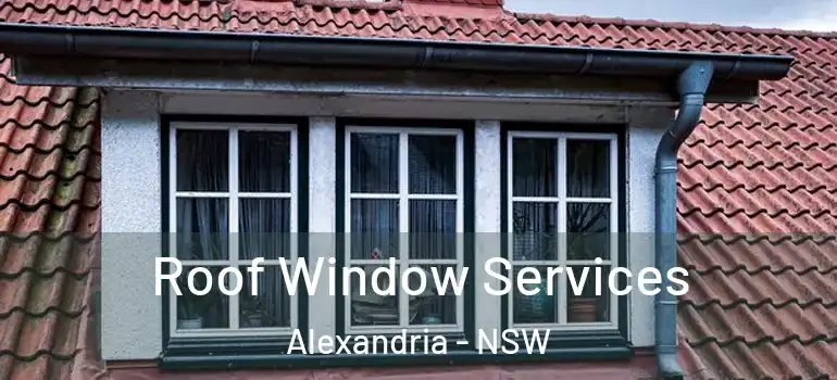 Roof Window Services Alexandria - NSW