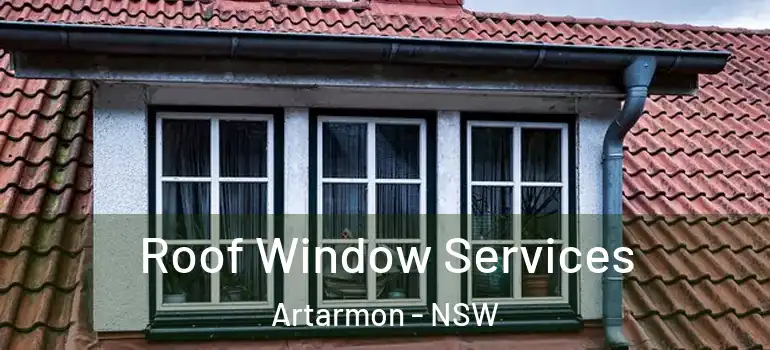 Roof Window Services Artarmon - NSW