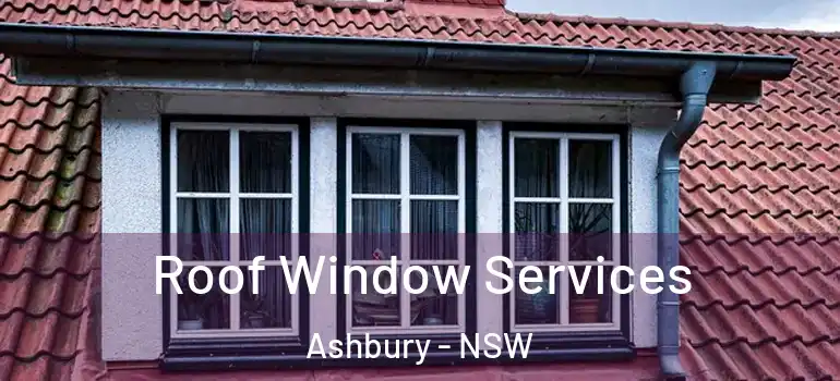 Roof Window Services Ashbury - NSW