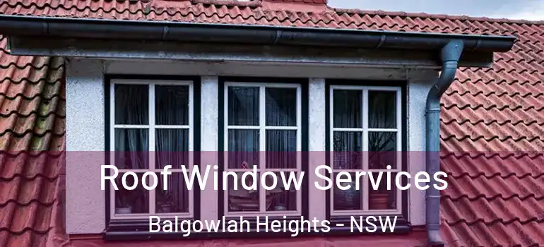 Roof Window Services Balgowlah Heights - NSW