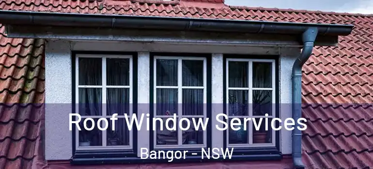 Roof Window Services Bangor - NSW
