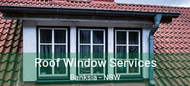 Roof Window Services Banksia - NSW