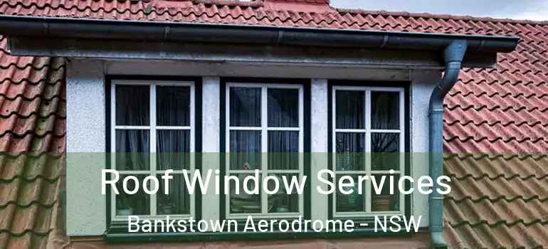 Roof Window Services Bankstown Aerodrome - NSW