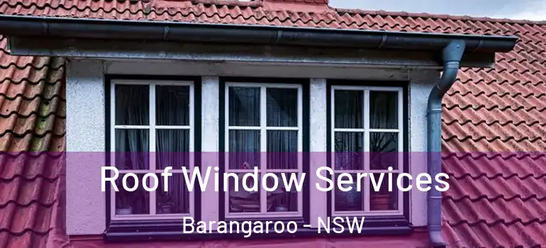 Roof Window Services Barangaroo - NSW