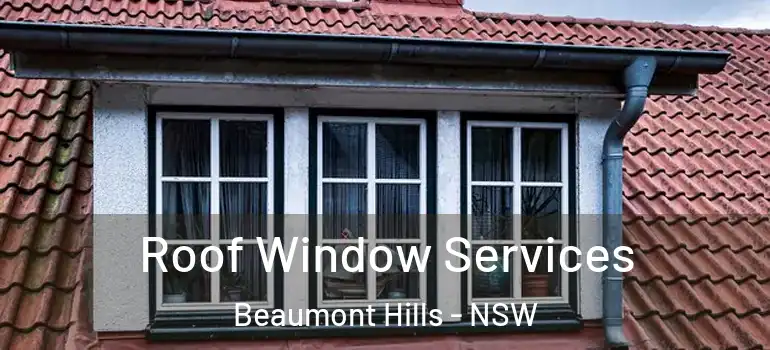 Roof Window Services Beaumont Hills - NSW