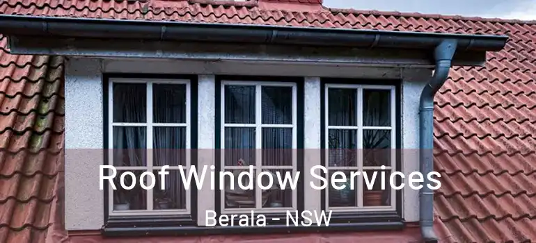 Roof Window Services Berala - NSW
