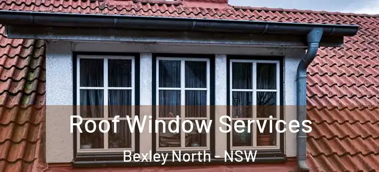 Roof Window Services Bexley North - NSW