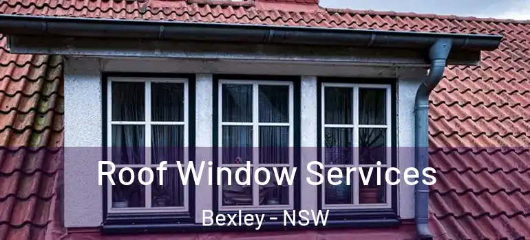 Roof Window Services Bexley - NSW